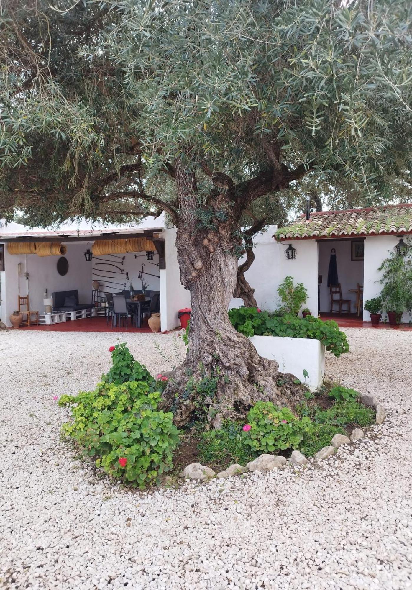 Villa Casa Abanto Ronda Exterior foto
